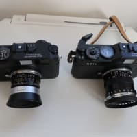 R-D1が2台になりました(^^)/