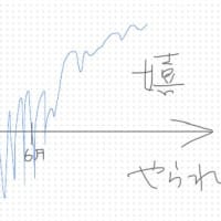 新歓コンパ