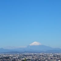今日の富士山