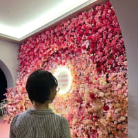 日本最大級の陶板名画美術館。鳴門の名産を外で😊