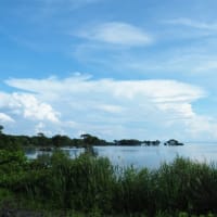 初夏の湖北