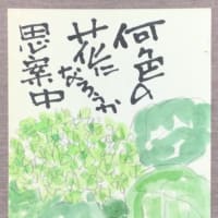 何色の花になろうか　思案中
