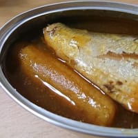 1/13　缶つま　ごぼういわし