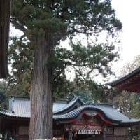 国内ぶらり
