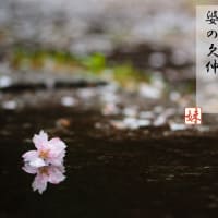 そろりとろり俳句の道～51【春泥】