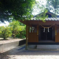 森稲妻神社の御神木と森殿原の宝塔