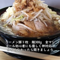 【限界を越えろ上越】ラーメン豚1枚麺300g　全マシ【新潟県上越グルメ】上越スチール販売(株)
