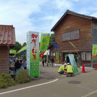 今日、加賀市打越の茶産地で新茶まつり・・・「加賀の紅茶」の製造工程も見学