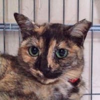 6月24日（火）猛暑の中休み