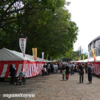 今年は「淵野辺公園」で「第一回全国陶器市」開催中！！