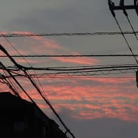 大雨は降らなかった〜