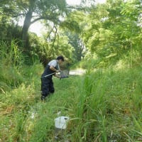 午後からは河川と湿地へ