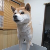 I LOVEウィートン、2023年仕事始め～！！