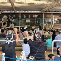 牛乳の日のミルクフェア2025