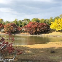 皆既日食・天王星食（令和4年11月8日カメラ手持ち撮影です）