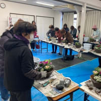 【花と緑の会】寄せ植えを実施しました！