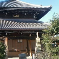 コスモタイガー漂走記～旧紀州街道編②～中編