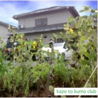 kaze to kumo club-Art-2024-7/11 +今回のトピックス