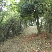 レンタカーで竜王山へ登山