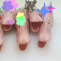 ダックダックス