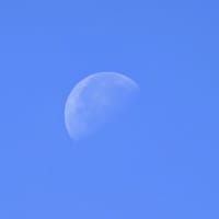 今日いち-2025年6月18日