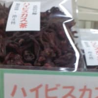 健康茶