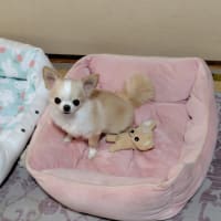 やっちまった！！！