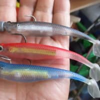 ようやくシーバスが釣れた。