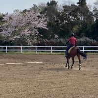 久しぶり。そしていつまで続くか！