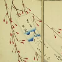 「高評価！」注目のレビュ 梅の花(抱一筆「紅梅図・小鸞女史賛」） - BLOG夜半亭 絵画