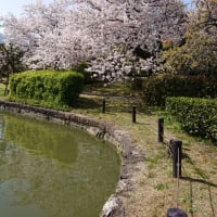 気付けば4月、新学期です♪