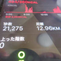 歩けや歩けということでww