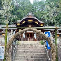 めんたいこうどん　＆　夏越の大祓