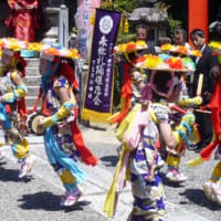 〈サンヤレ踊り〉　滋賀県草津市の６地区で華やかに