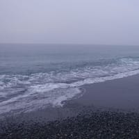 2025/06/10　火　国府津海岸