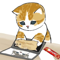 みなさん！お久しぶりです┏○ﾍﾟｺｯ