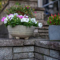 花の植え替え