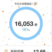 いやあ歩いた歩いた（仕事で 笑）