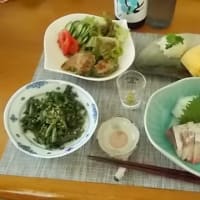 都議選とプールやら申込やら