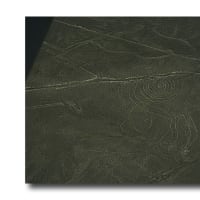 謎のナスカの地上絵！