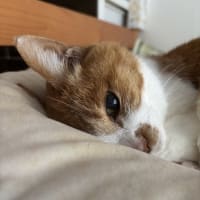 今日の心配
