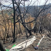 山火事3！