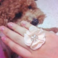 春物アクセサリー届いたー♪forever21