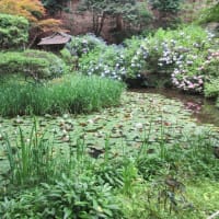 関西花の寺２５ゕ寺　第１５番・岩船寺