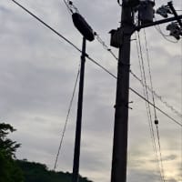 ブッポソー