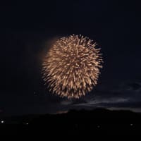 足利の花火