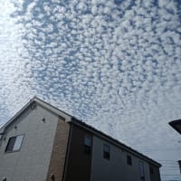 見たこともない雲を見ました