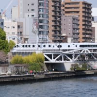 2025/3/30　都内で桜と列車の撮影　前編