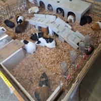 ゴールデンウイーク　嫁さんと生物園に行ってきました。