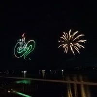 Lagoon Fireworks 2024 夜空を舞う